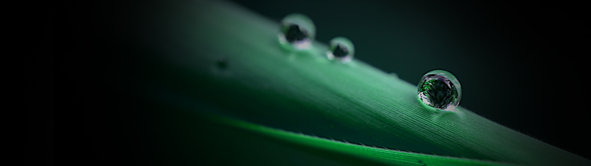 周全节能，不简朴。